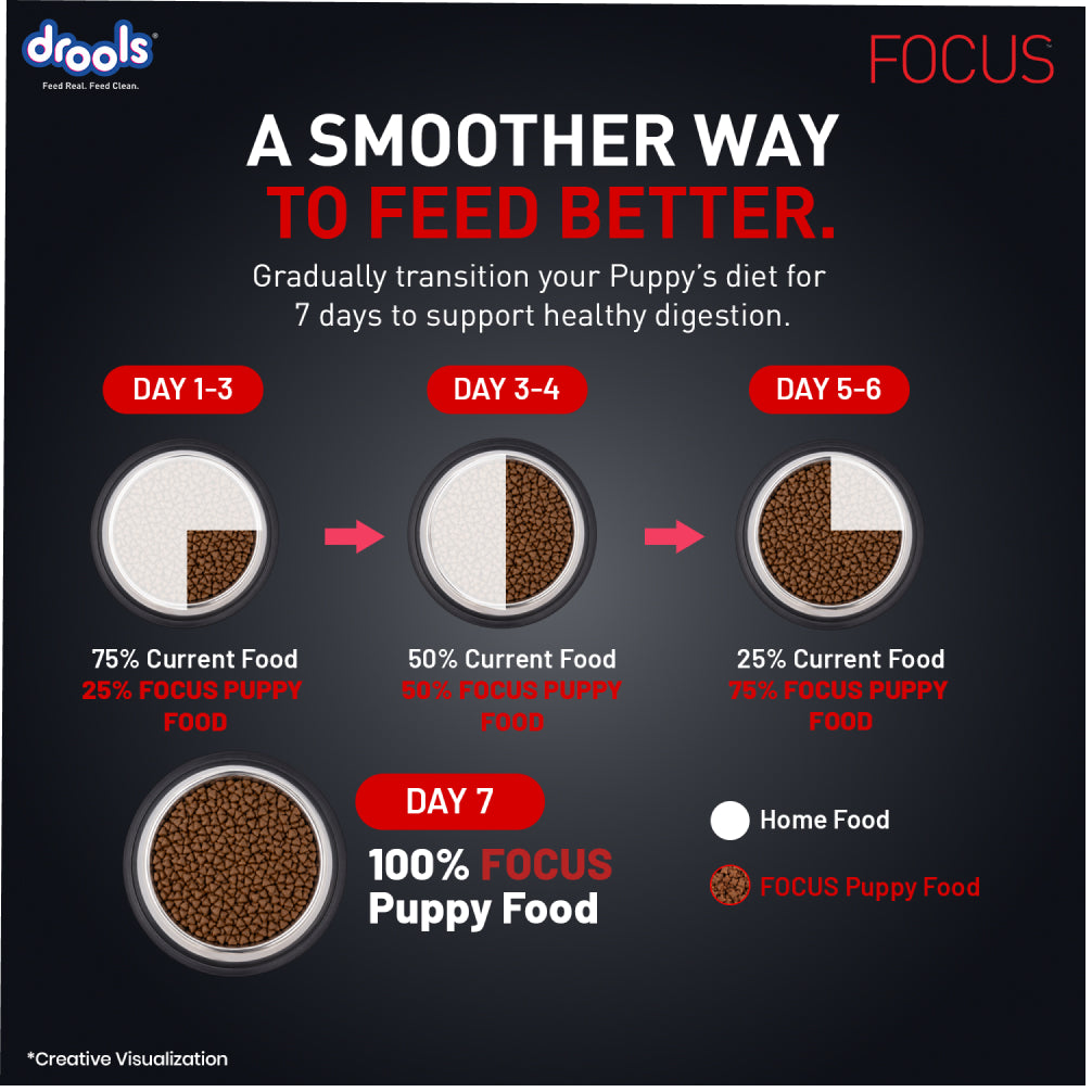 Drools Focus Super Premium Puppy Dog Dry Food | Corn & Wheat Free Formula Dogs- Dry Food Drools Focus