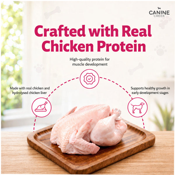 Canine Creek Real Chicken Gravy Puppy Wet Food