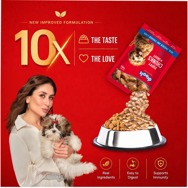 Drools Real Chicken & Chicken Liver Chunks in Gravy Adult Dog Wet Food (60g)