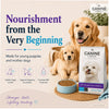 Canine Creek Ultra Premium Starter Puppy Dry Dog Food Dogs- Dry Food Canine Creek