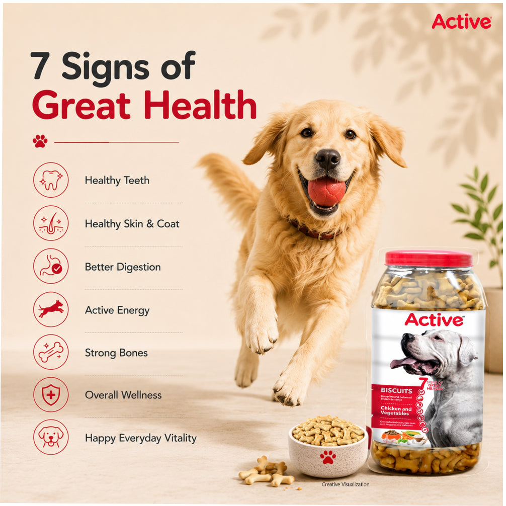 Active Chicken and Vegetables Biscuit Dog Treats (Buy 1 Get 1) Dog Treats + Others Active