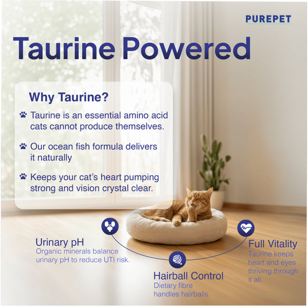Purepet Ocean Fish Adult Cat Dry Food