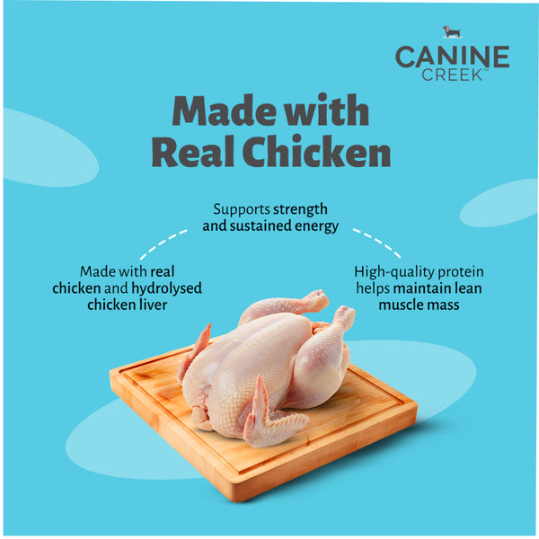 Canine Creek Real Chicken Gravy Adult Dog Wet Food