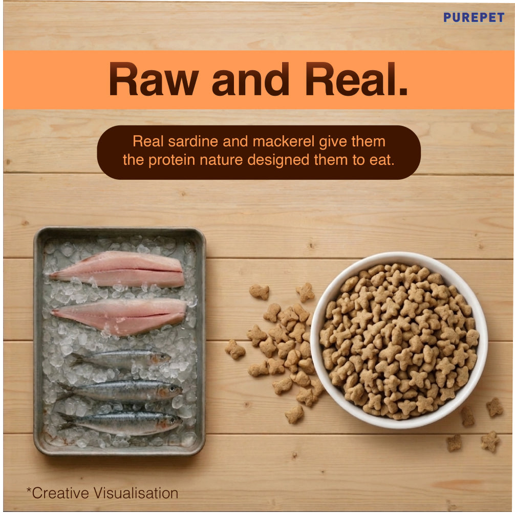 Purepet Mackerel Adult Cat Dry Food Cats- Dry food Purepet