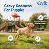 Drools Real Chicken & Chicken Liver Chunks in Gravy Puppy Dog Wet Food Dogs-Wet Food Drools