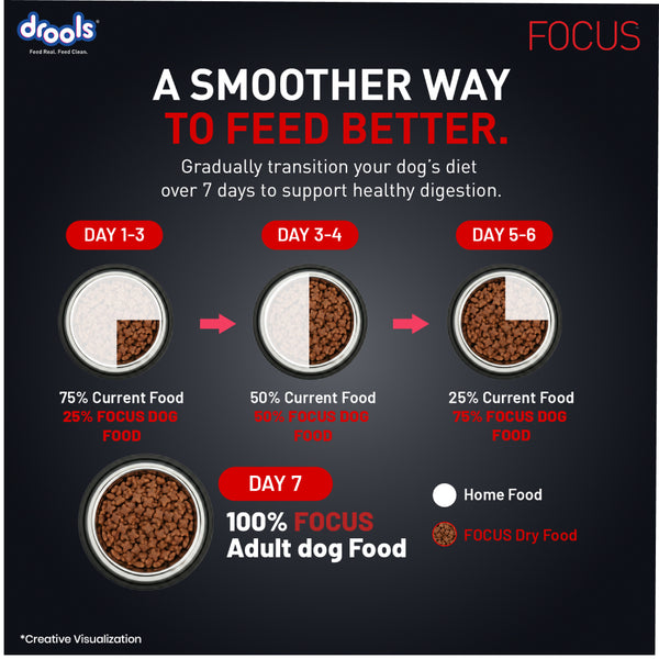 Drools Focus Super Premium Adult Dog Dry Food | Corn & Wheat Free Formula