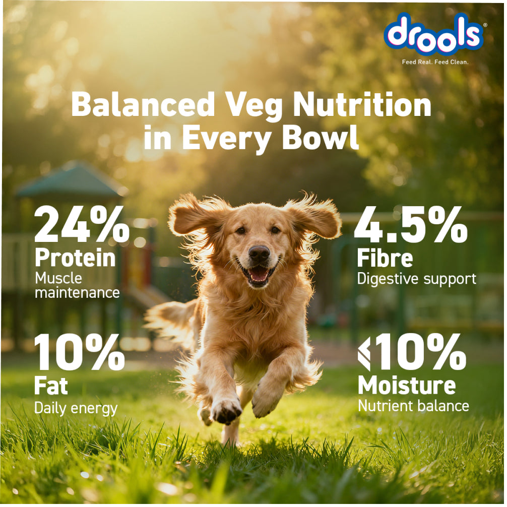 Drools 100% Vegetarian Puppy and Adult Dog Veg Dry Food (All Life Stages) Dogs- Dry Food Drools