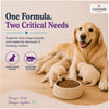 Canine Creek Ultra Premium Starter Puppy Dry Dog Food Dogs- Dry Food Canine Creek