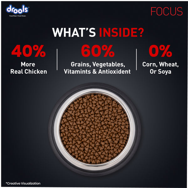 Drools Focus Super Premium Puppy Dog Dry Food | Corn & Wheat Free Formula