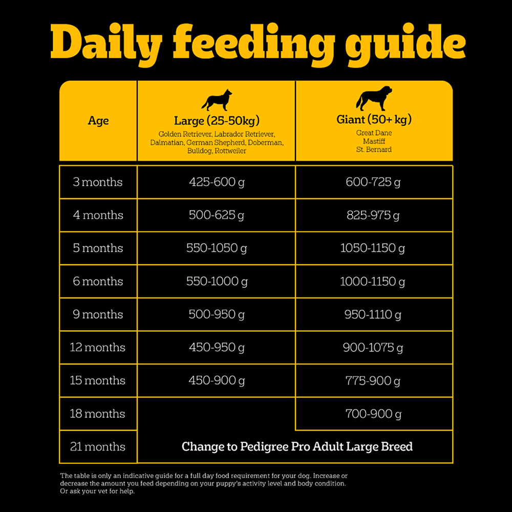Pedigree PRO Expert Nutrition for Large Breed Puppy (3 to 18 Months) Dog Dry Food Dogs- Dry Food Pedigree PRO