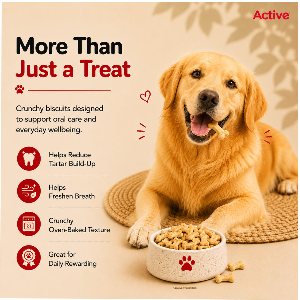 Active Chicken and Vegetables Biscuit Dog Treats (Buy 1 Get 1) Dog Treats + Others Active