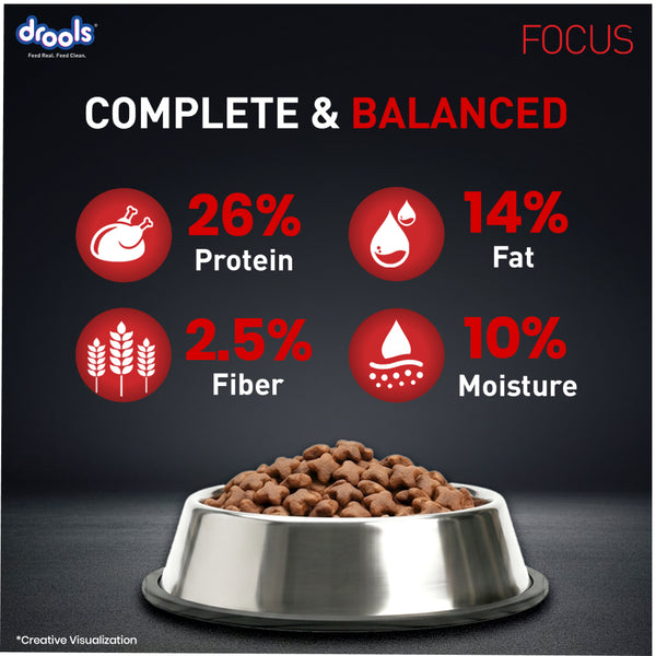 Drools Focus Super Premium Adult Dog Dry Food | Corn & Wheat Free Formula