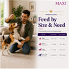 Maxi Adult Chicken and Liver Dog Dry Food Dogs- Dry Food Maxi Adult