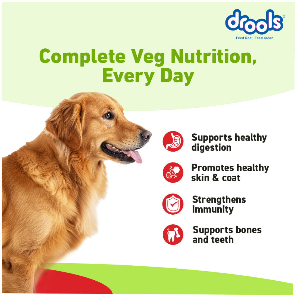 Drools 100% Vegetarian Puppy and Adult Dog Veg Dry Food (All Life Stages) Dogs- Dry Food Drools