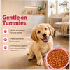 Canine Creek Real Chicken Gravy Puppy Wet Food Dogs-Wet Food Canine Creek