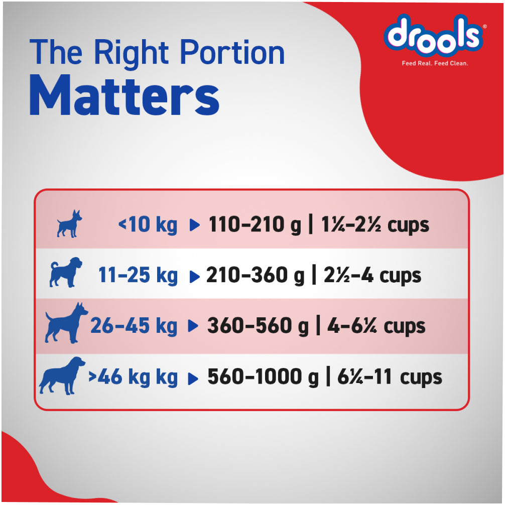 Drools Chicken and Egg Adult Dog Dry Food Dogs- Dry Food Drools