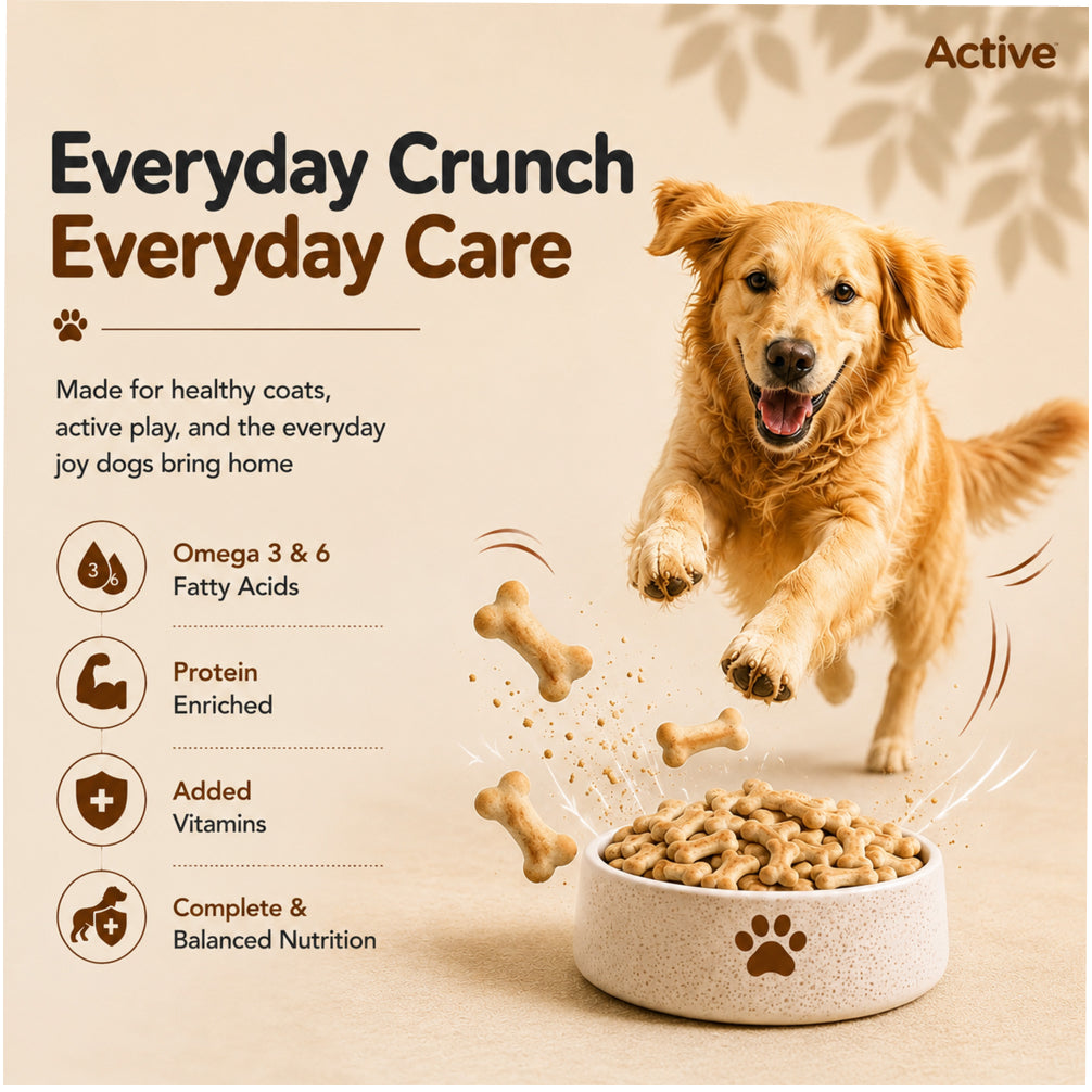 Active Mutton & Vegetable Flavour Biscuit Dog Treats (Buy 1 Get 1) Dog Treats + Others Active