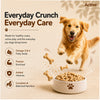 Active Mutton & Vegetable Flavour Biscuit Dog Treats (Buy 1 Get 1) Dog Treats + Others Active