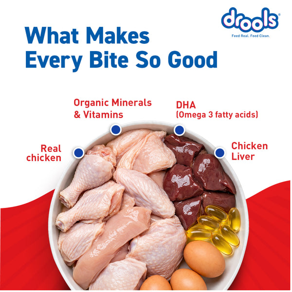 Drools Real Chicken & Chicken Liver Chunks in Gravy Puppy Dog Wet Food