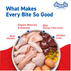 Drools Real Chicken & Chicken Liver Chunks in Gravy Puppy Dog Wet Food Dogs-Wet Food Drools