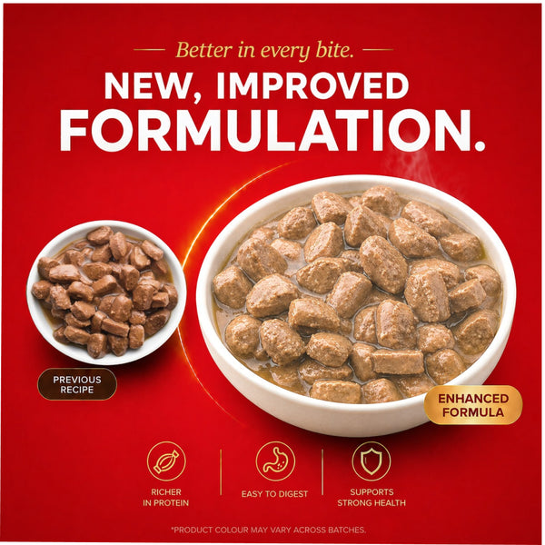 Drools Real Chicken & Chicken Liver Chunks in Gravy Adult Dog Wet Food (60g)