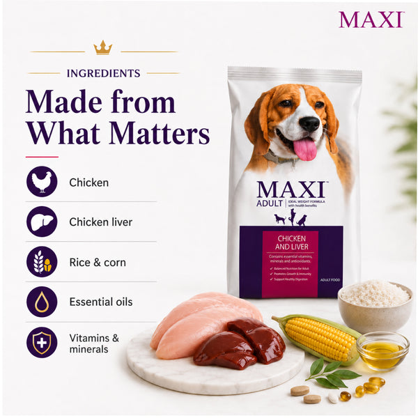 Maxi Adult Chicken and Liver Dog Dry Food