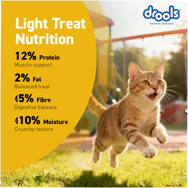 Drools Biscuit Cat Treat