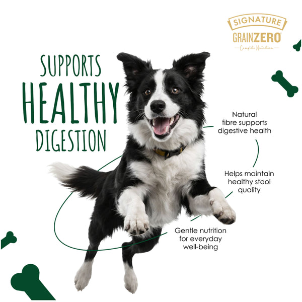 Signature Grain Zero Chicken Chunks Gravy Adult Dog Wet Food