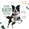 Signature Grain Zero Chicken Chunks Gravy Adult Dog Wet Food Dogs-Wet Food Signature