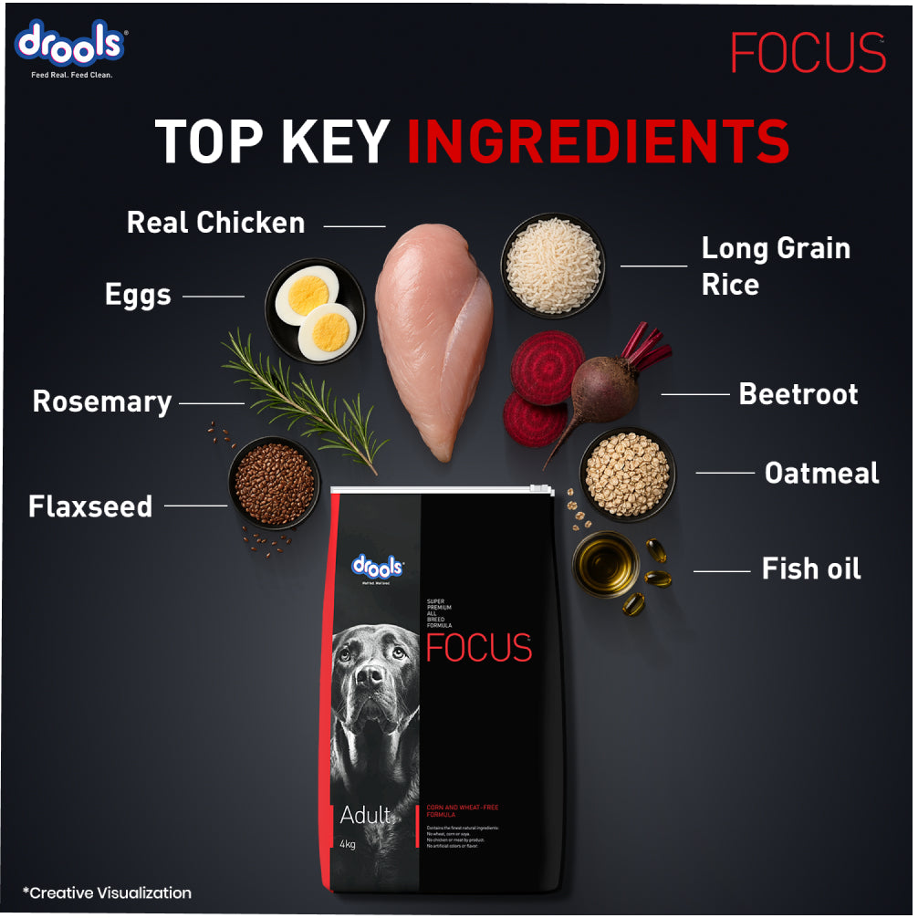 Drools Focus Super Premium Adult Dog Dry Food | Corn & Wheat Free Formula Dogs- Dry Food Drools Focus