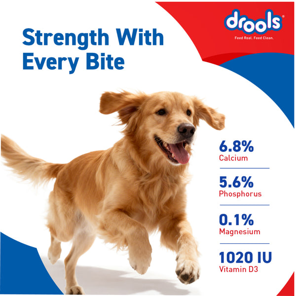 Drools Absolute Calcium Bones Dog treats (Jar)