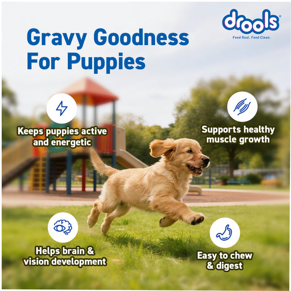 Drools Real Chicken & Chicken Liver Chunks in Gravy Puppy Dog Wet Food