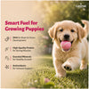 Canine Creek Real Chicken Gravy Puppy Wet Food Dogs-Wet Food Canine Creek