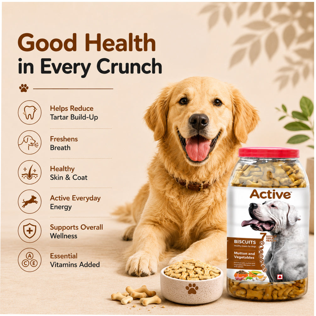 Active Mutton & Vegetable Flavour Biscuit Dog Treats (Buy 1 Get 1) Dog Treats + Others Active