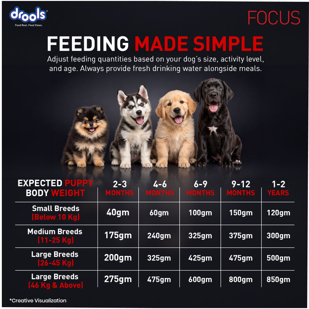 Drools Focus Super Premium Puppy Dog Dry Food | Corn & Wheat Free Formula Dogs- Dry Food Drools Focus
