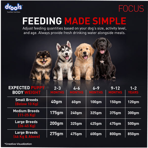 Drools Focus Super Premium Puppy Dog Dry Food | Corn & Wheat Free Formula