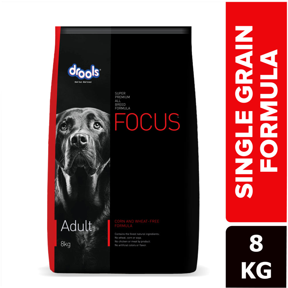 Drools Focus Super Premium Adult Dog Dry Food | Corn & Wheat Free Formula Dogs- Dry Food Drools Focus