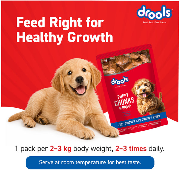Drools Real Chicken & Chicken Liver Chunks in Gravy Puppy Dog Wet Food