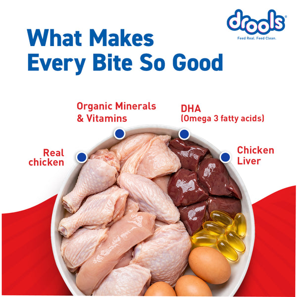 Drools Real Chicken & Chicken Liver Chunks in Gravy Puppy Dog Wet Food