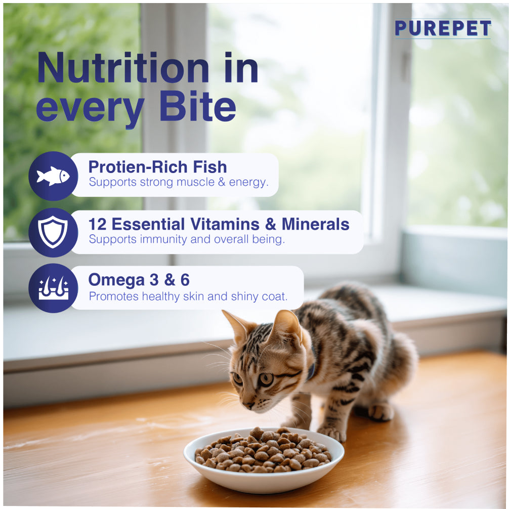 Purepet Ocean Fish Adult Cat Dry Food Cats- Dry food Purepet