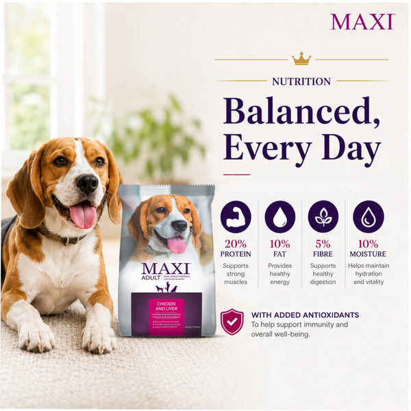 Maxi Adult Chicken and Liver Dog Dry Food