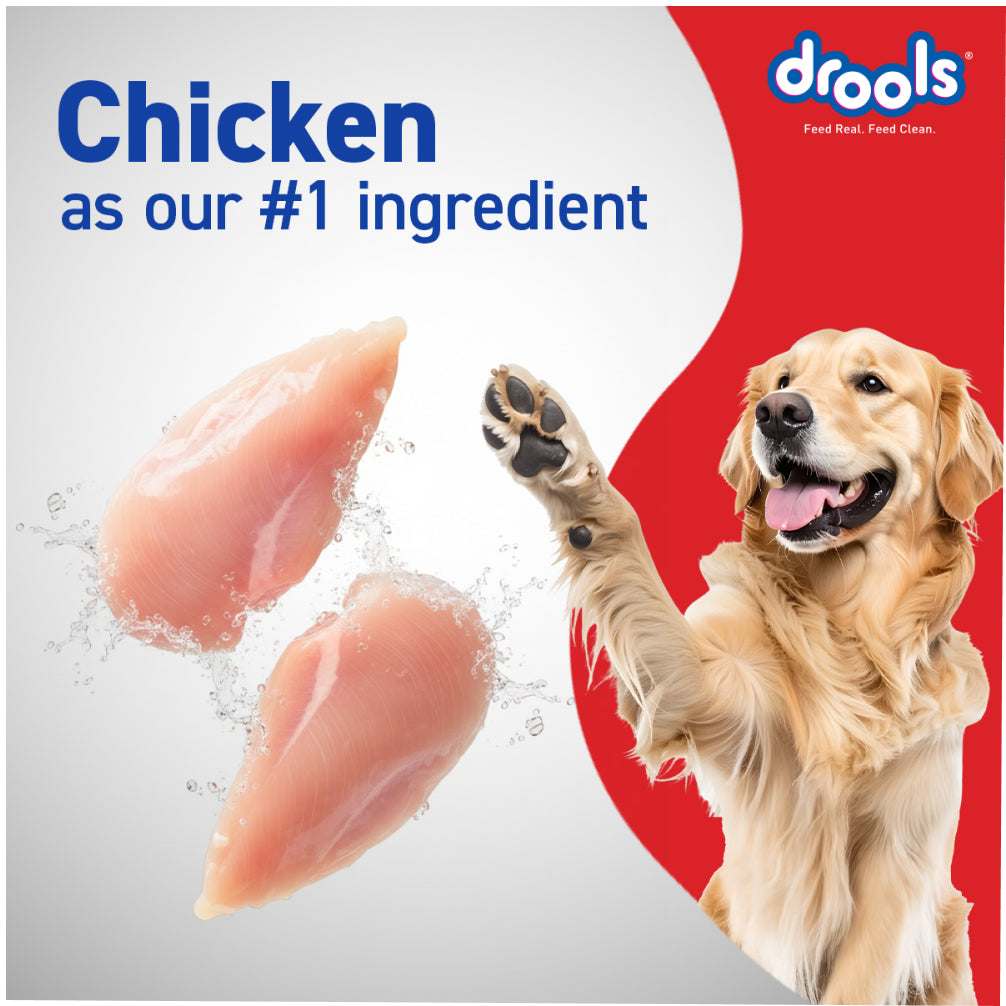 Drools Chicken and Egg Adult Dog Dry Food Dogs- Dry Food Drools