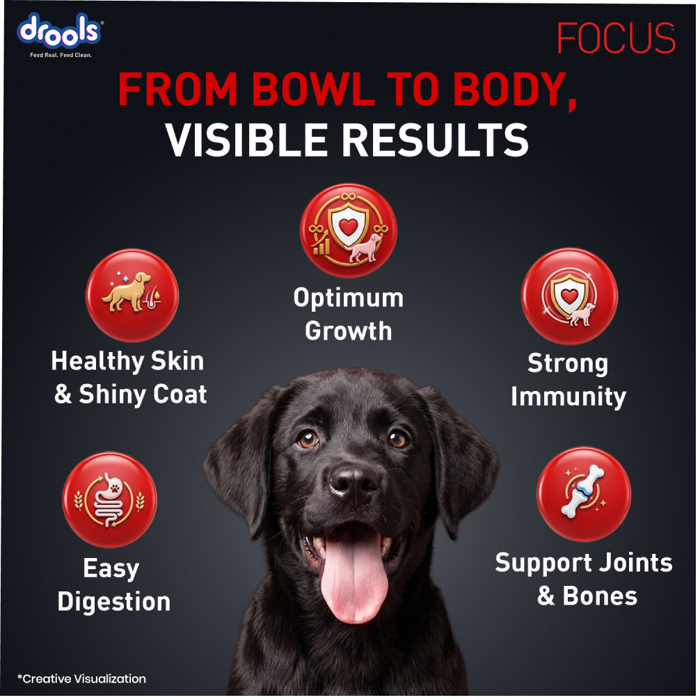 Drools Focus Super Premium Puppy Dog Dry Food | Corn & Wheat Free Formula Dogs- Dry Food Drools Focus