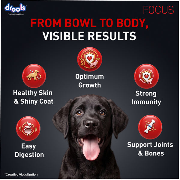 Drools Focus Super Premium Puppy Dog Dry Food | Corn & Wheat Free Formula
