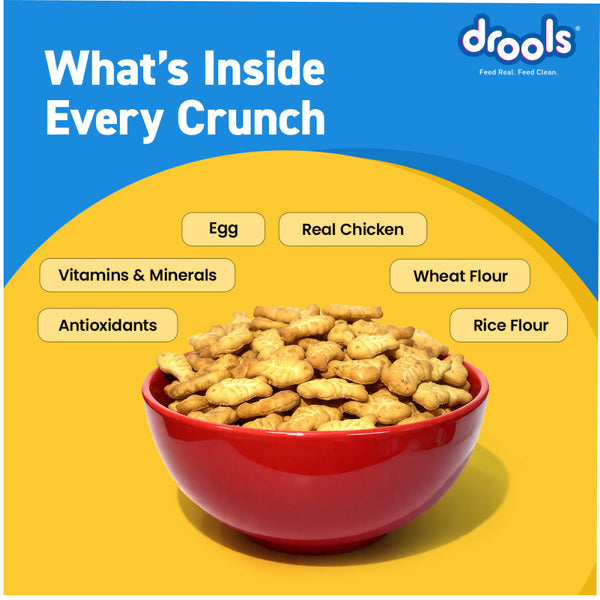 Drools Biscuit Cat Treat