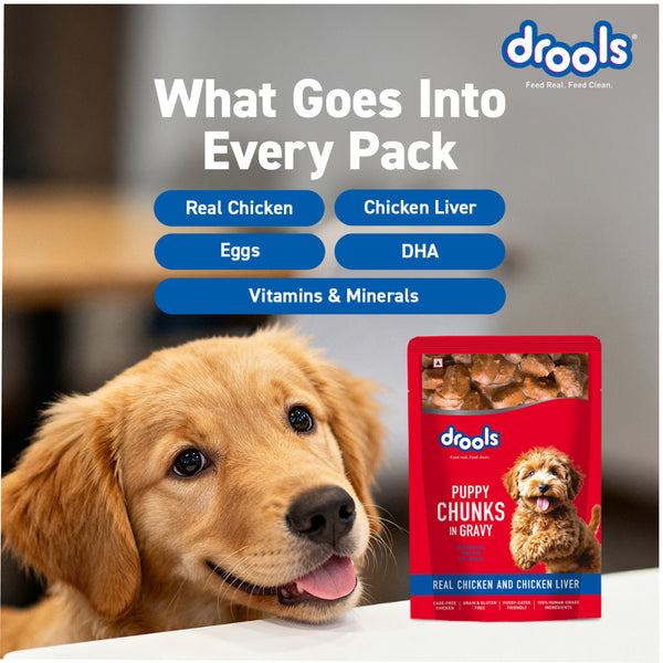 Drools Real Chicken & Chicken Liver Chunks in Gravy Adult Dog Wet Food (60g)