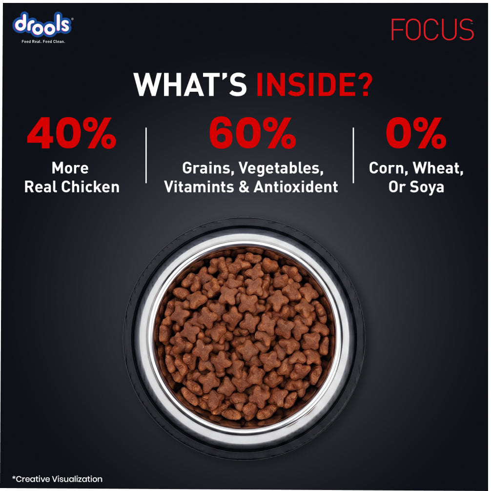 Drools Focus Super Premium Adult Dog Dry Food | Corn & Wheat Free Formula Dogs- Dry Food Drools Focus
