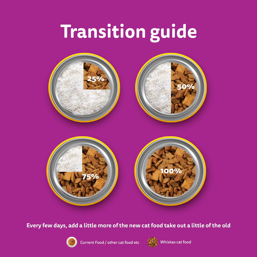 Whiskas Mackerel Flavour Kitten (2 to 12 months)Cat Dry Food Cats- Dry food Whiskas