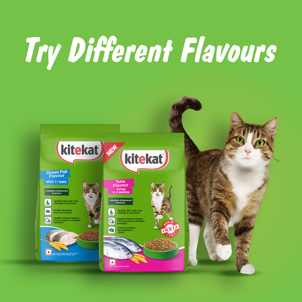 Kitekat Ocean Fish Adult Cat Dry Food