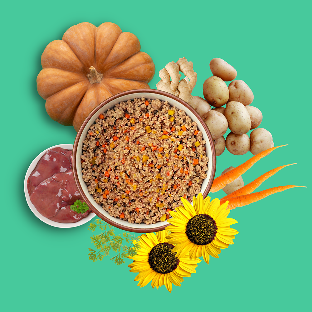 Doggos Chicken Liver and Pumpkin Real Fresh Dog Food (All Breeds) Dogs-Fresh Food Doggos